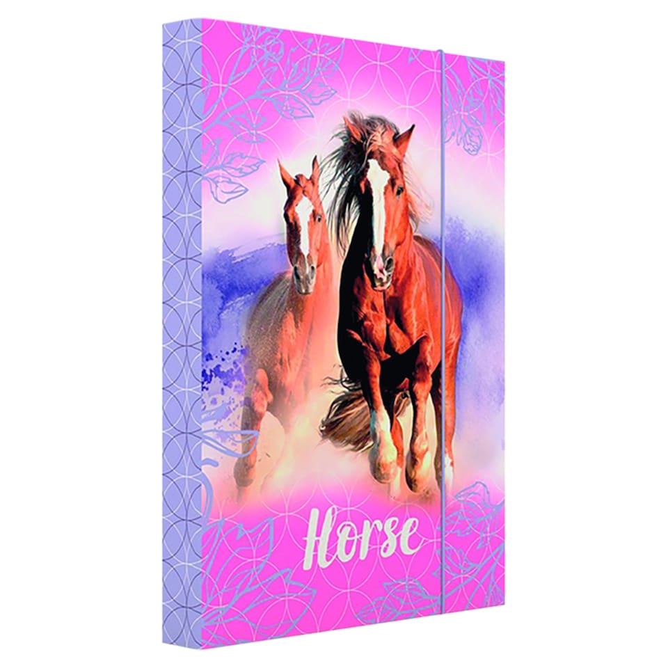 Obrázek 1 pro produkt Desky na sešity A5 pro chlapce