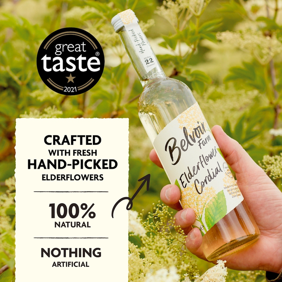 image 1 of Belvoir Elderflower Cordial 500Ml