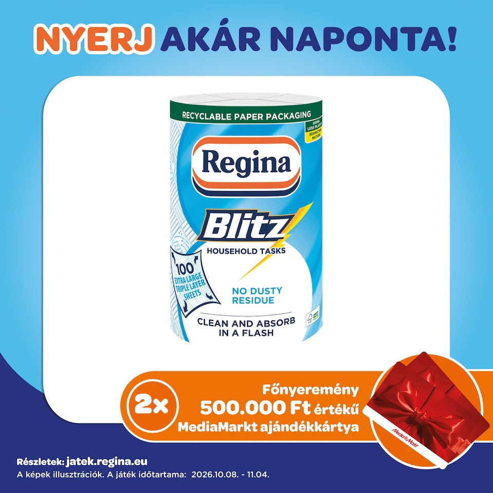 Regina Blitz Household Towel 3 Ply 1 Roll