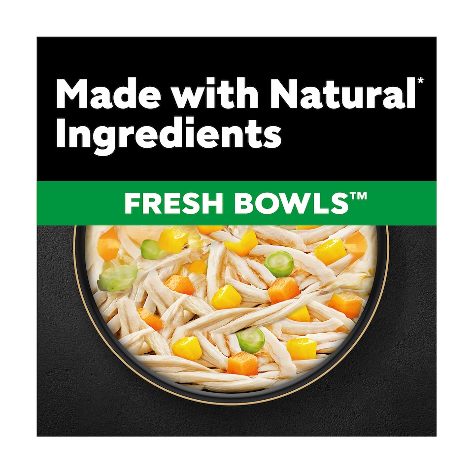 image 1 of CESAR Wet Dog Food Fresh Bowls in Gravy 6 x 85g