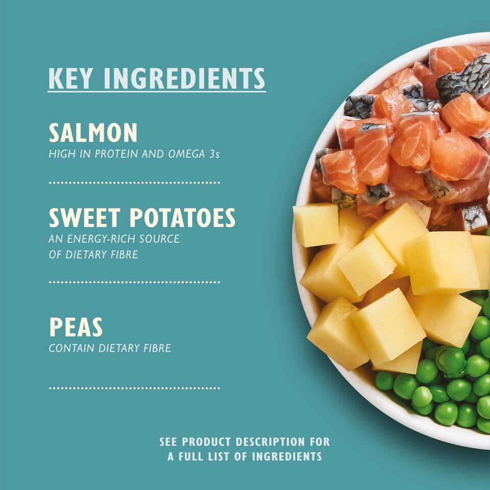 image 1 of Lily's Kitchen Salmon Supper with Sweet Potatoes, Peas & Dill Dog Dry Food 1kg