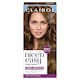 image 1 of CLAIROL NICE'N EASY TONE+GLOSS SEMI PERMANENT HAIR DYE - 637/76 LIGHT GOLDEN BROWN