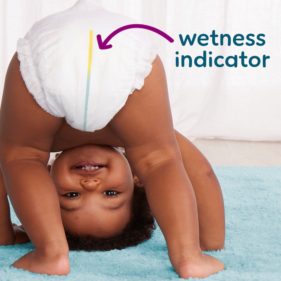 image 1 of Pampers Premium Protection Size 4 62 Nappies