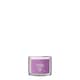 image 1 of Yankee Signature Wild Orchid Votive Candle 37g