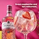 image 3 of Gordon's Premium Pink Gin Based Flavoured Spirit Drink 35% vol 1L Bottle