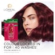 image 2 of L'Oreal Color Vive Shampoo Refill 500Ml