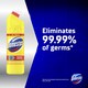 image 2 of Domestos Citrus Bleach 1.25L