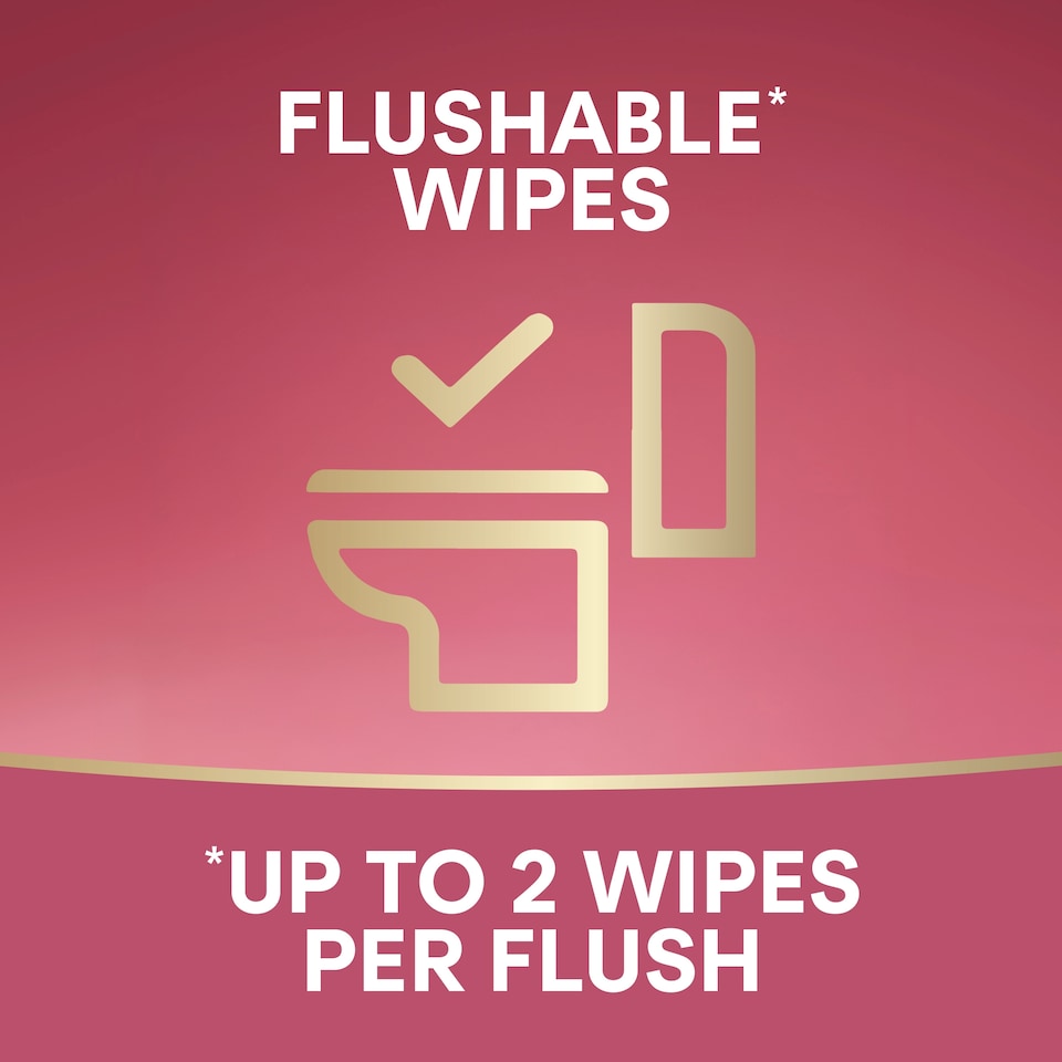 image 1 of Andrex Hygiene Wipes - Protect & Care 36 wipes