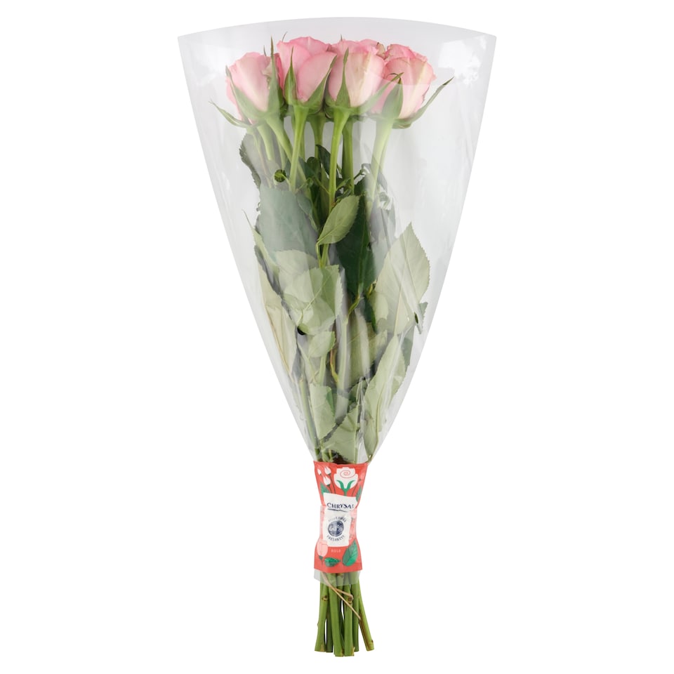 image 1 of Large Roses 11 Stems