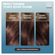 image 2 of Clairol Nice'N Easy Crème Pure Brunettes Permanent Hair Dye Kit - 5PB Medium Pure Brown