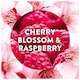 image 2 of Air Wick Active Fresh Refill Cherry Blossom & Raspberry Air Freshener 228ml