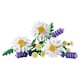 image 2 of LEGO Botanicals 11508 Daisies