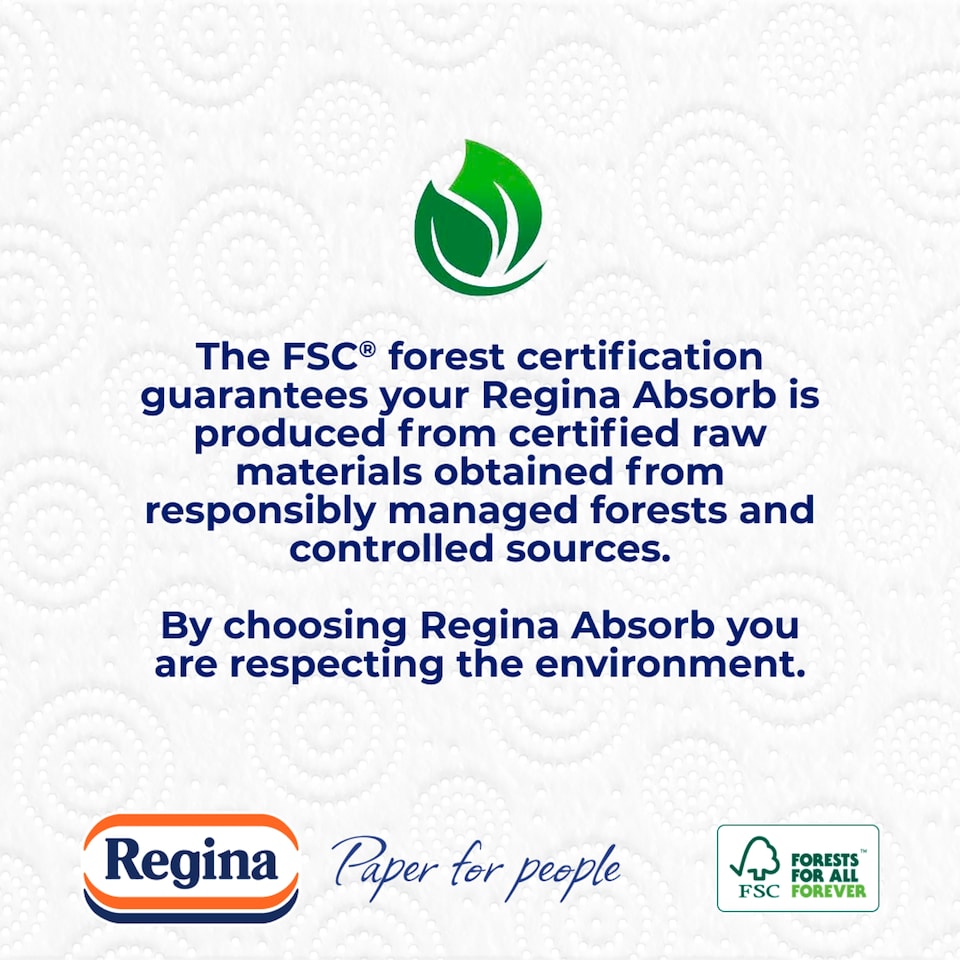 image 1 of Regina XXL Absorb Kitchen Roll 100 Supersized Sheets 1 Roll