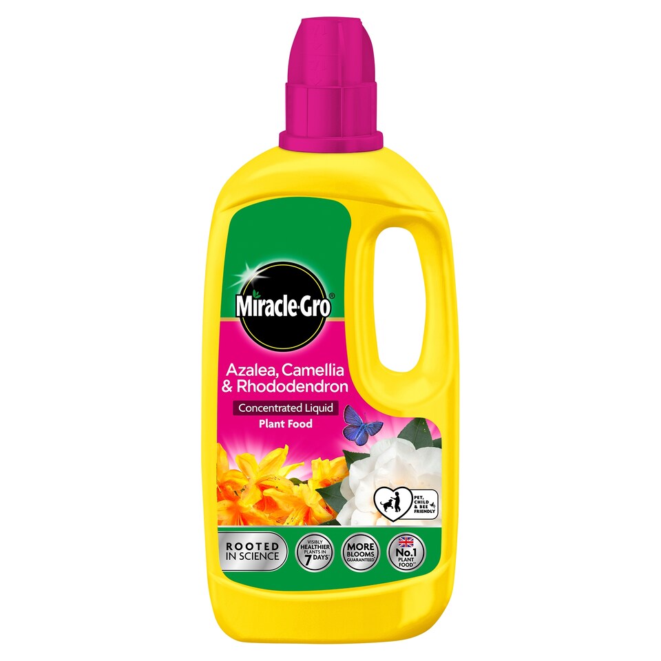 Miracle Gro Azalea Camelia & Rhododendron Plant Food 800Ml