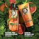 image 4 of Herbal Essences Volume Conditioner - Orange Scent 250ml
