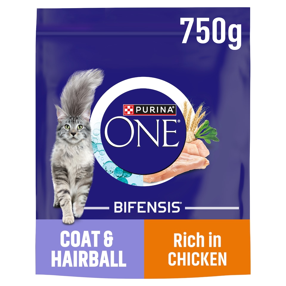 PURINA ONE Coat and Hairball Chicken Dry Cat Food 750g