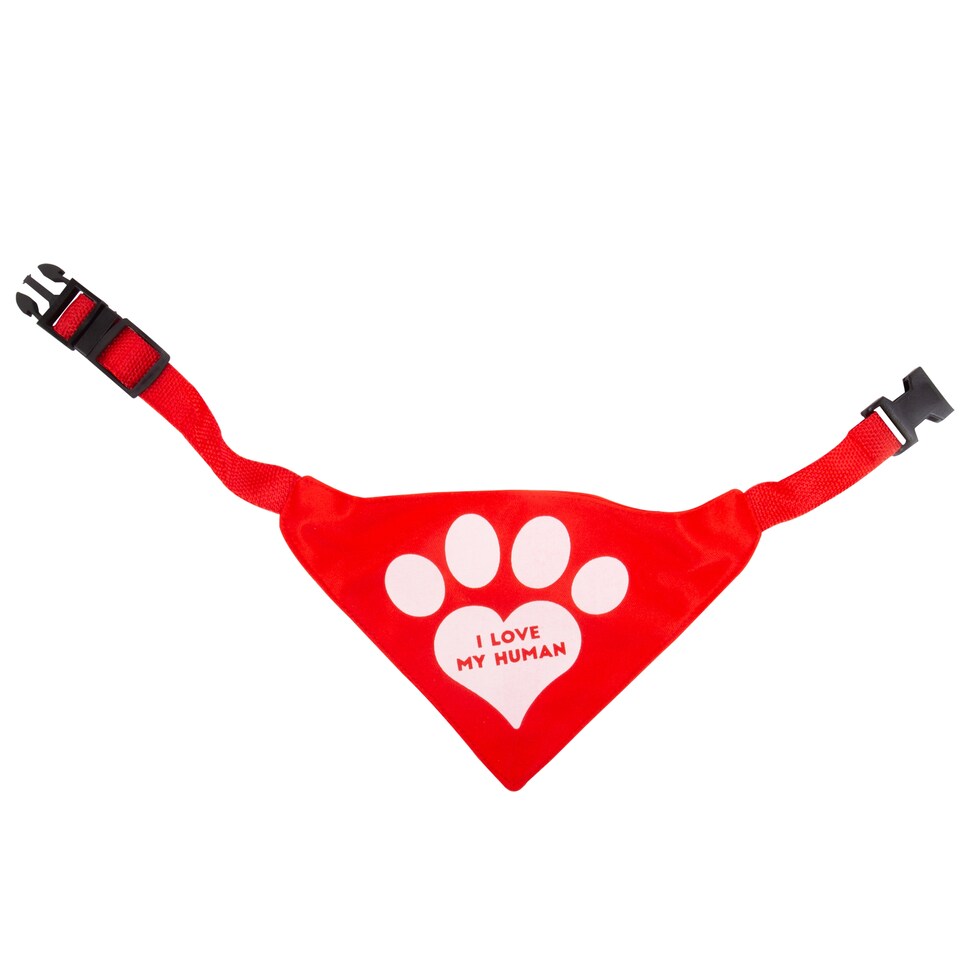 image 1 of Fizz Valentines Pet Bandana