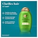 image 3 of OGX Refreshing Scalp + Rosemary Mint Conditioner 385ml