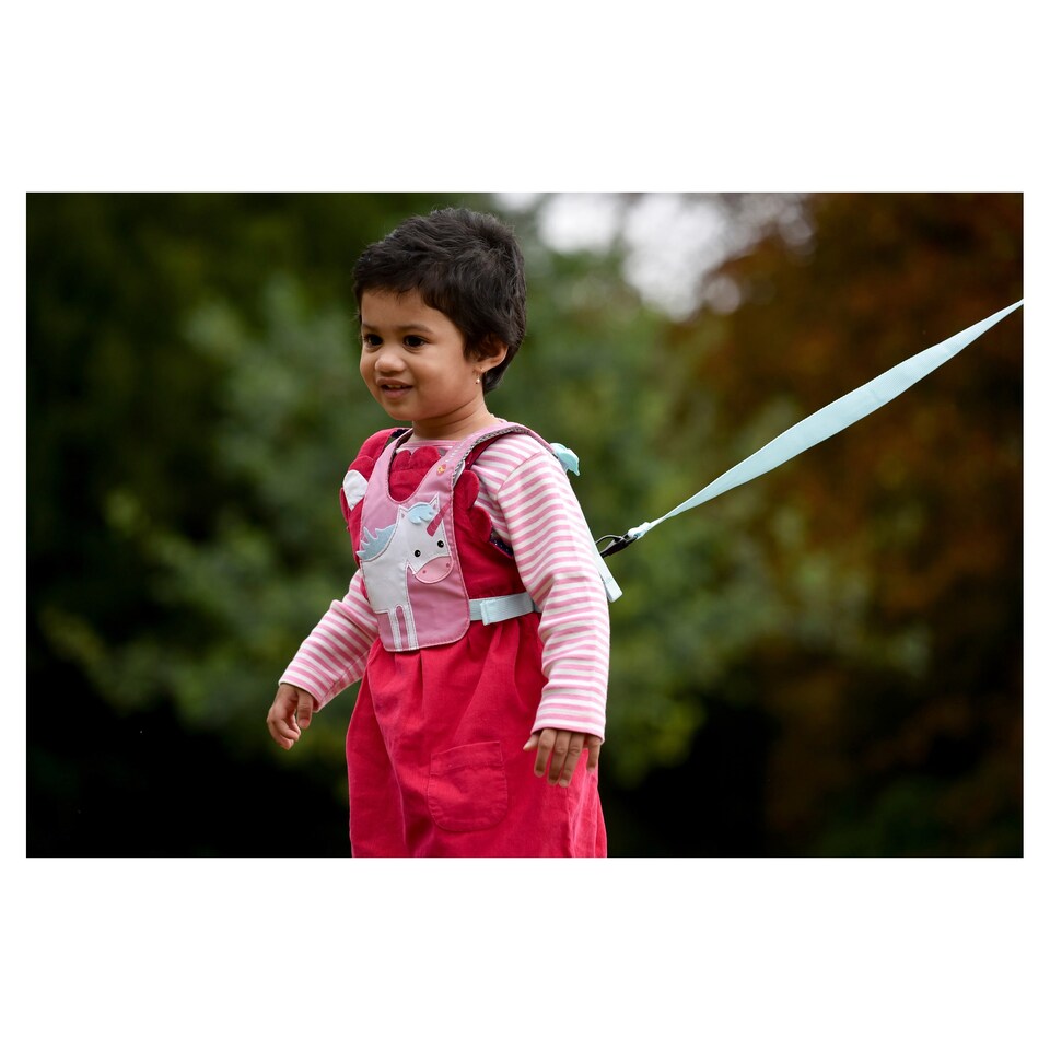 image 1 of Little Life Safety Harness Dinosaur/Lion