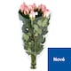 image 1 of Tesco Bouquet Roses 35 cm 9 pcs