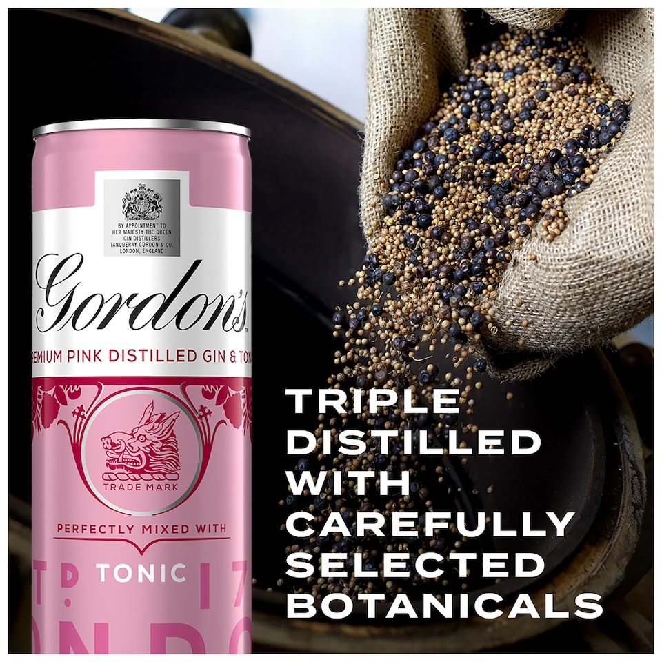 image 1 of Gordon's Pink Gin & Tonic Original 6x250ml