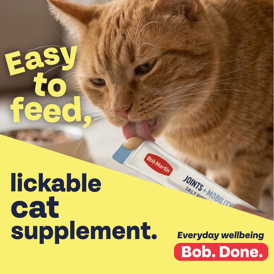 image 1 of  Bob Martin Calming + anxiety Daily supplements 7 sachets 105G