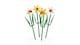 LEGO Botanicals 6476650 Nárciszok ünnepi ajándék  2. kép