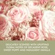 image 4 of Baylis & Harding Royale Garden Rose, Poppy & Vanilla Luxury Hand Care Gift Set