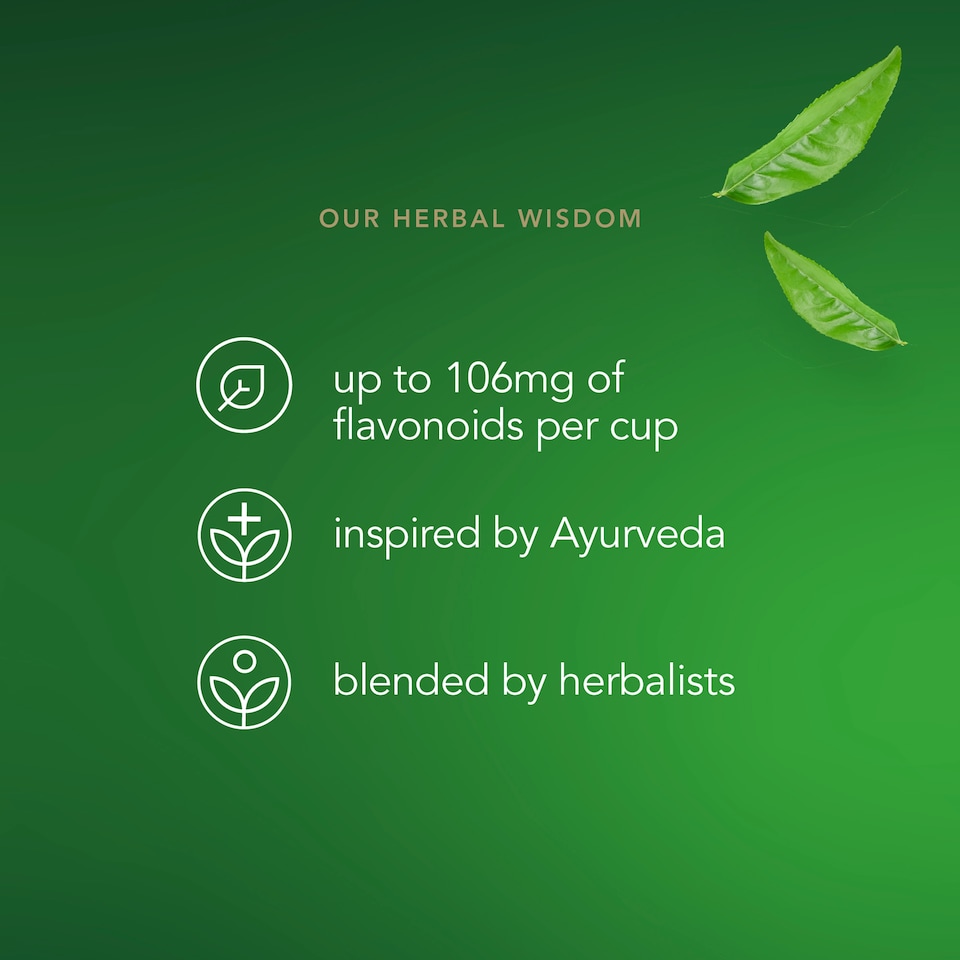 image 1 of Pukka Organic Matcha Green 20 Tea Bags 30G