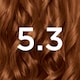 image 2 of Garnier Nutrisse Creme Permanent Hair Colour - Golden Brown 5.3