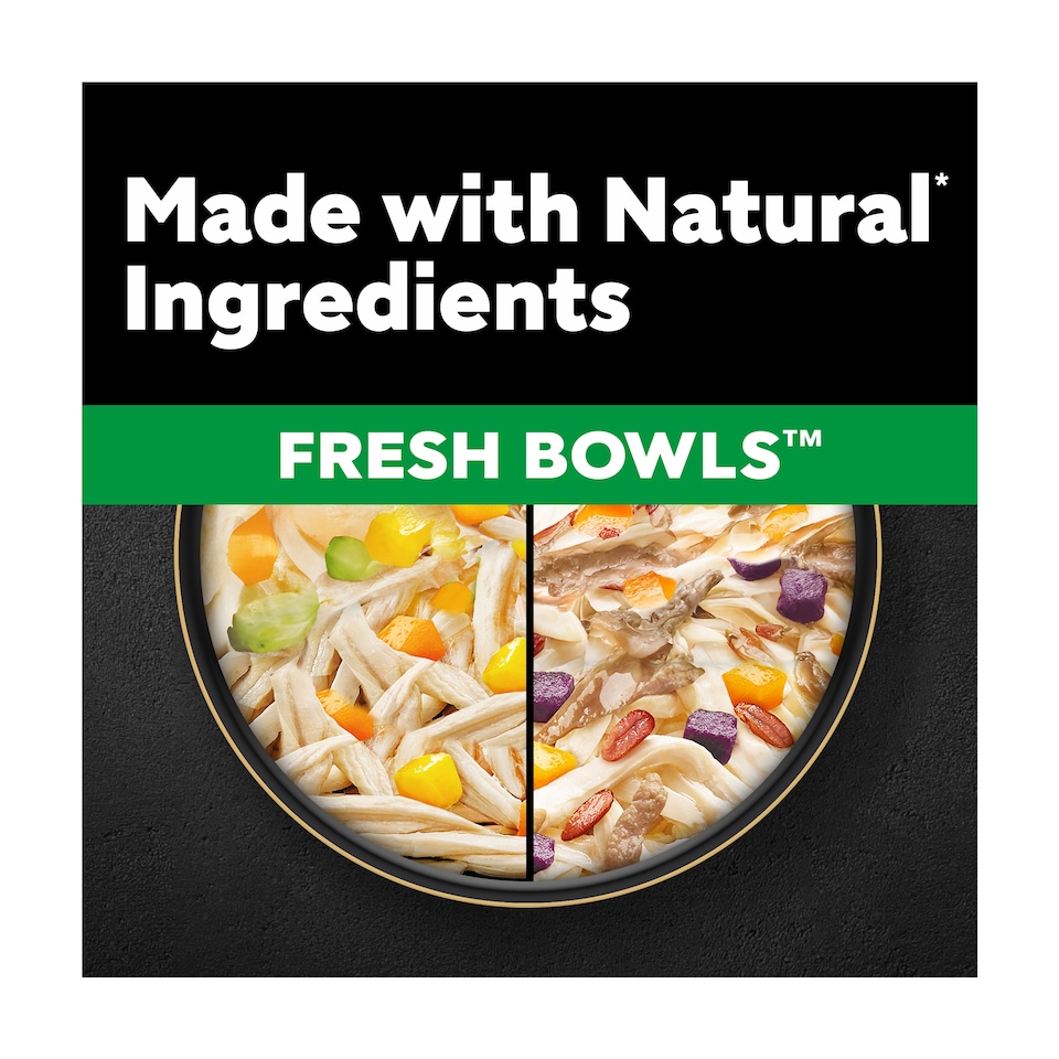image 1 of CESAR Dog Food Fresh Bowls mixed selection of Poultry and Fresh Vegetables 6 x 85g