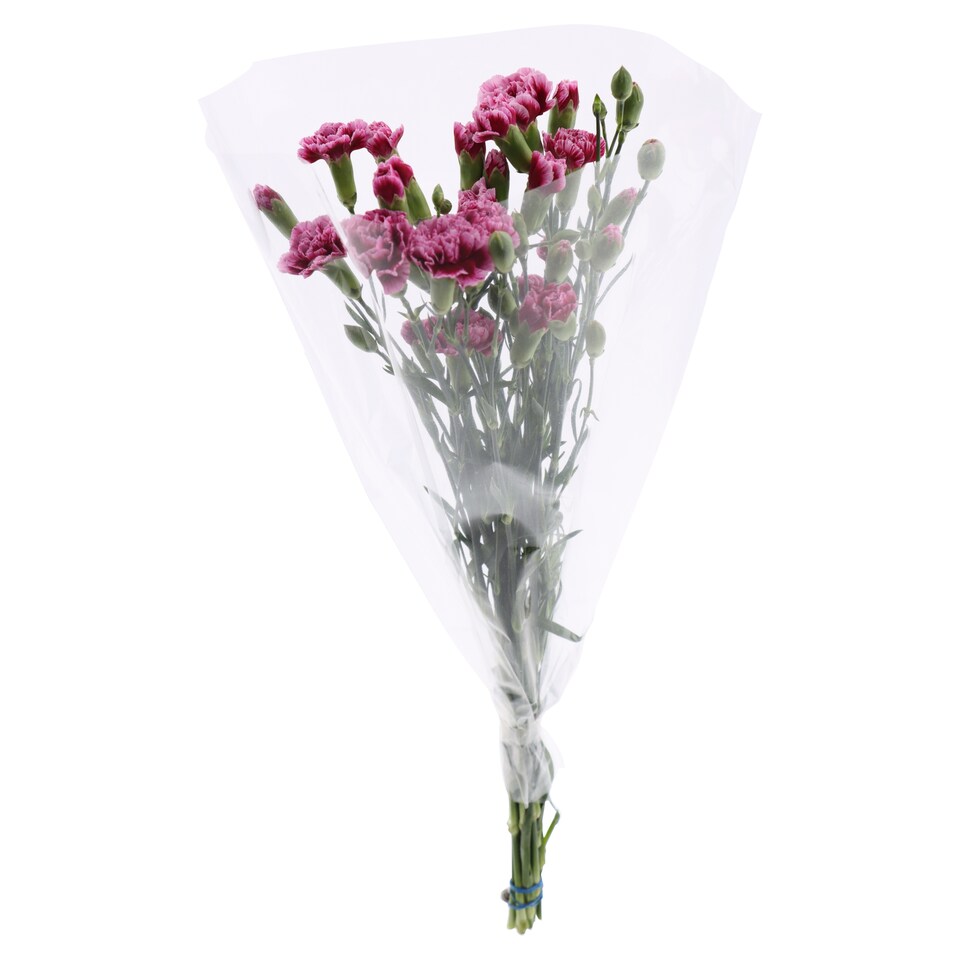 image 1 of The Floral Connection Carnations Bouquet