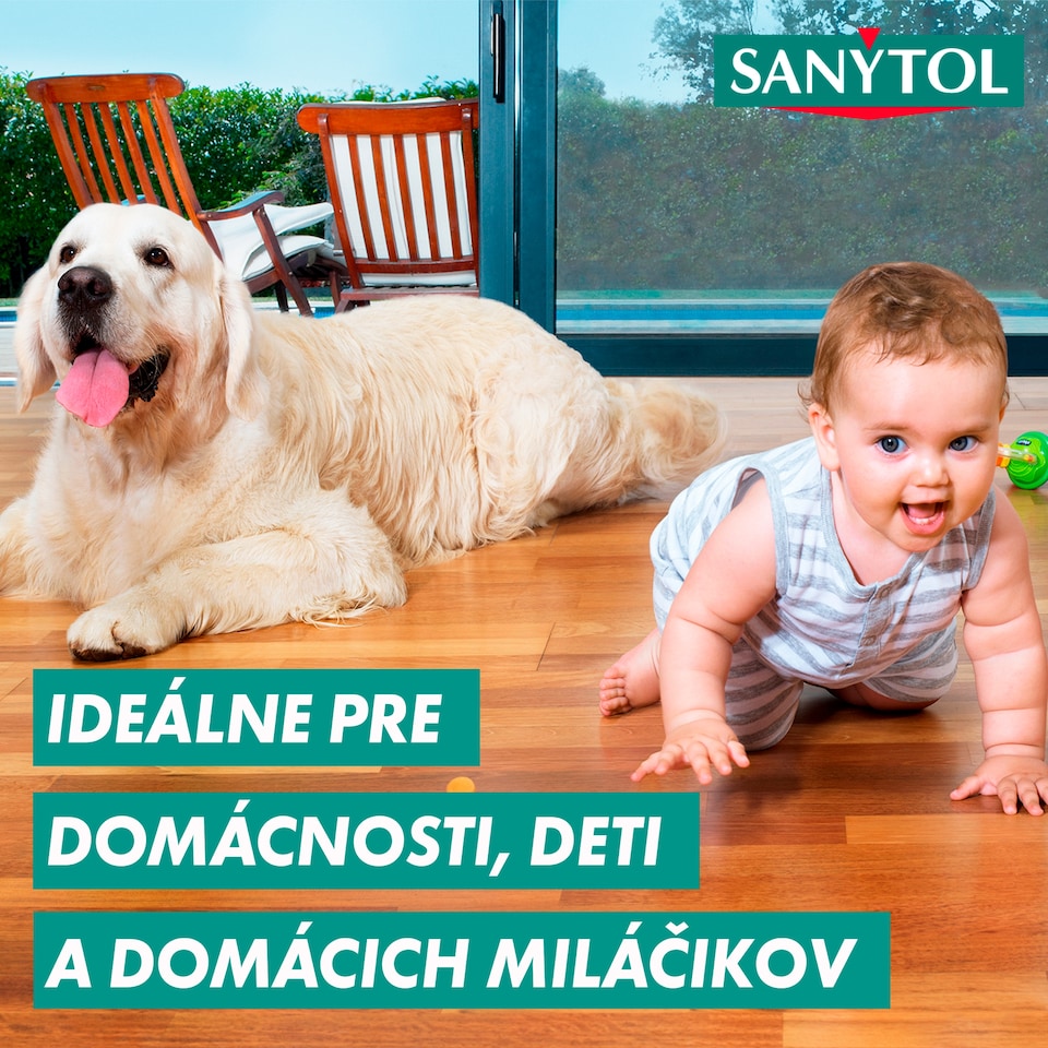 image 1 of Sanytol Disinfection Floor and Surface Cleaner Lemon and Olive Leaves Clean 1 L