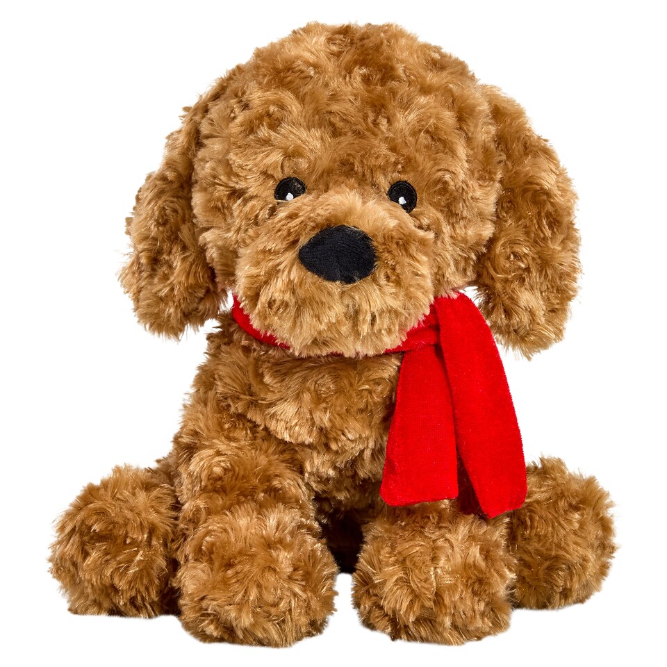 Winter Dog