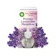image 1 of Airwick Air Freshener Plug In Refill Lavender 19ml