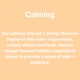 image 5 of INEOS Moisturising Hand Wash Almond + Orange Blossom 500ml