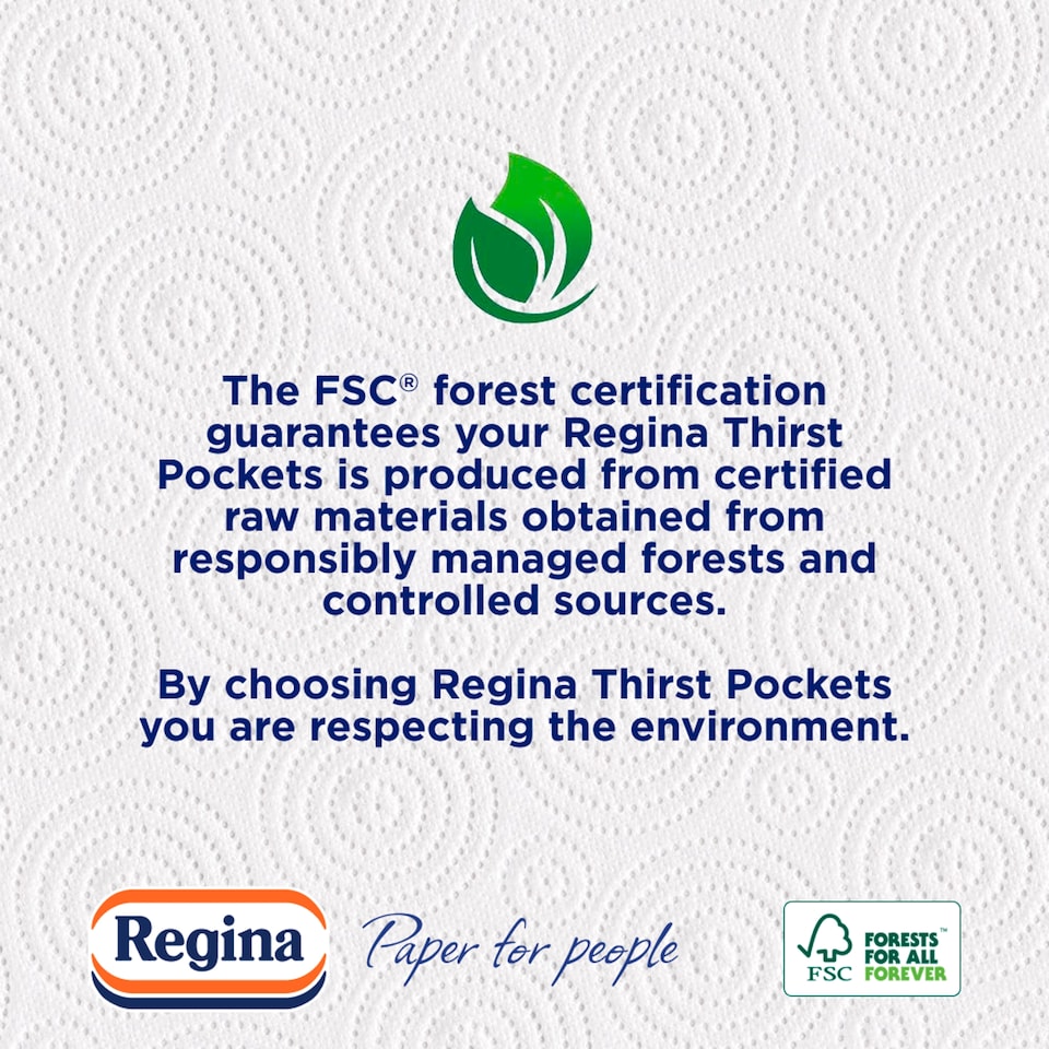 image 1 of Regina Thirst Pockets Kitchen Roll 2 Pack