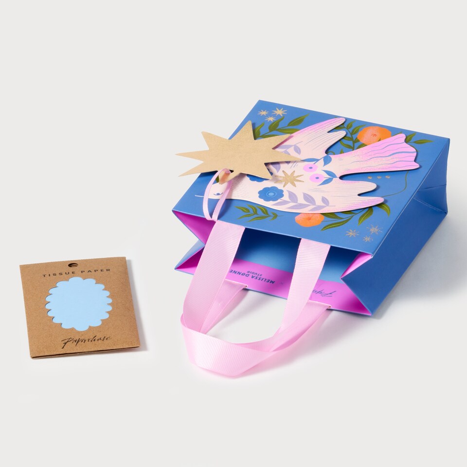 image 1 of Paperchase x Melissa Donne Studio Mother's Day Small Gift Bag