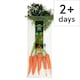 image 1 of Tesco Organic Bunched Carrots 400G