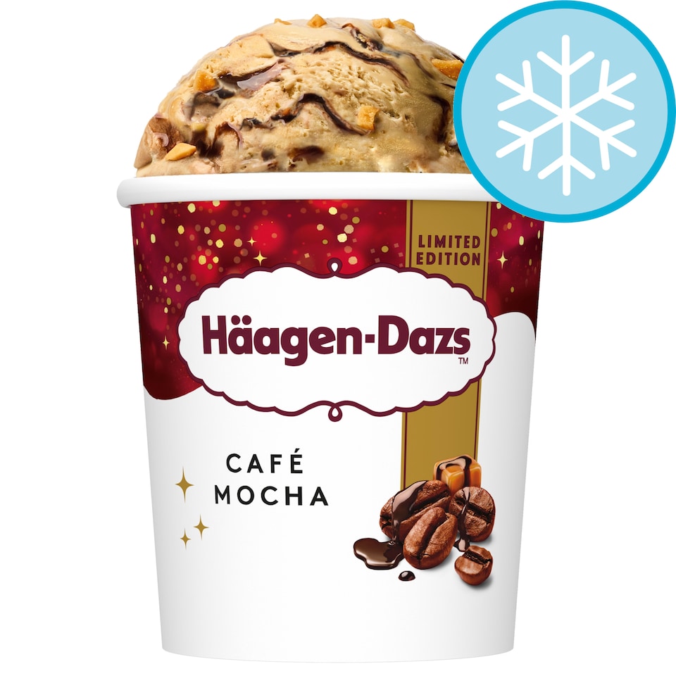 Häagen-Dazs Cafe Mocha Ice Cream Dessert Tub Limited Edition 420ml