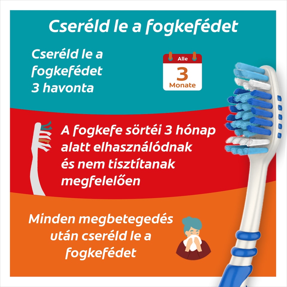 Colgate Zig Zag közepes fogkefe 2 db 1. kép