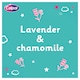 image 2 of Calpol Vapour Plug In & Nightlight 3+ Months - Lavender & Chamomile