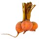 image 1 of Tesco Organic Golden Beetroot 450G