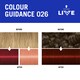 image 6 of Schwarzkopf LIVE Colour Moment 026 Dark Red Semi-Permanent Hair Dye
