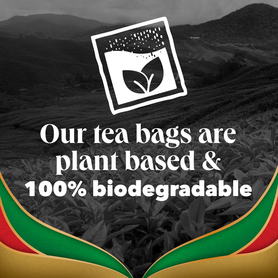 image 1 of PG Tips Gold Speciality Black Tea 70 Tea Bags 203g