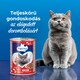 PreVital nedves macskaeledel, macskatáp felnőtt macskáknak marhával, májjal szószban konzerv 415 g  3. kép