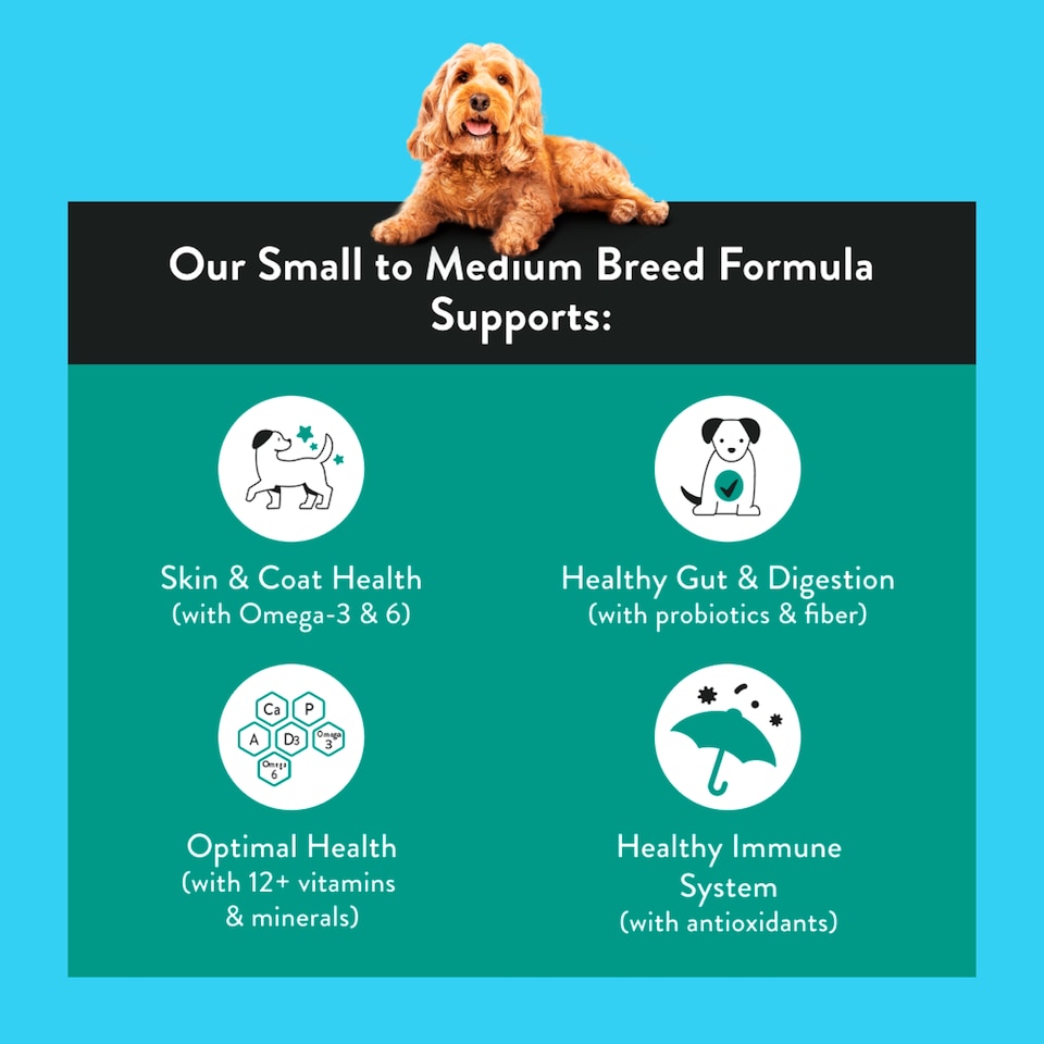 image 1 of Nood Dog Small To Medium Breed Formula 1.42Kg