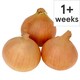 image 1 of Tesco Brown Onions Loose