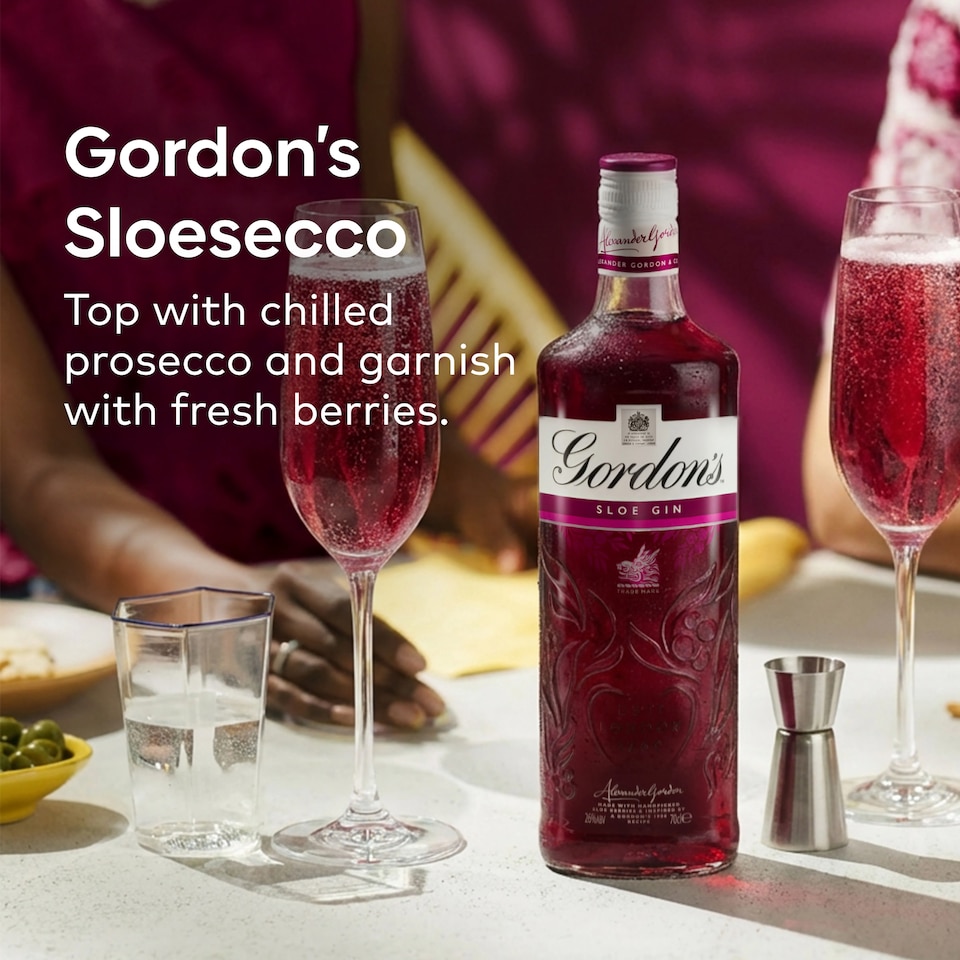 image 1 of Gordon's Sloe Gin Bottle 26% Vol 70Cl