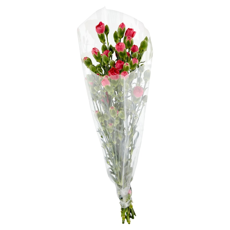 image 1 of Tesco Carnations Large